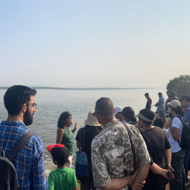 Untitled design (18)